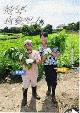 韩国电影奖项动态